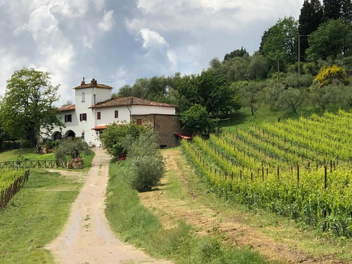 Azienda Agricola Il Poggiolino Villa Pelago Exterior photo