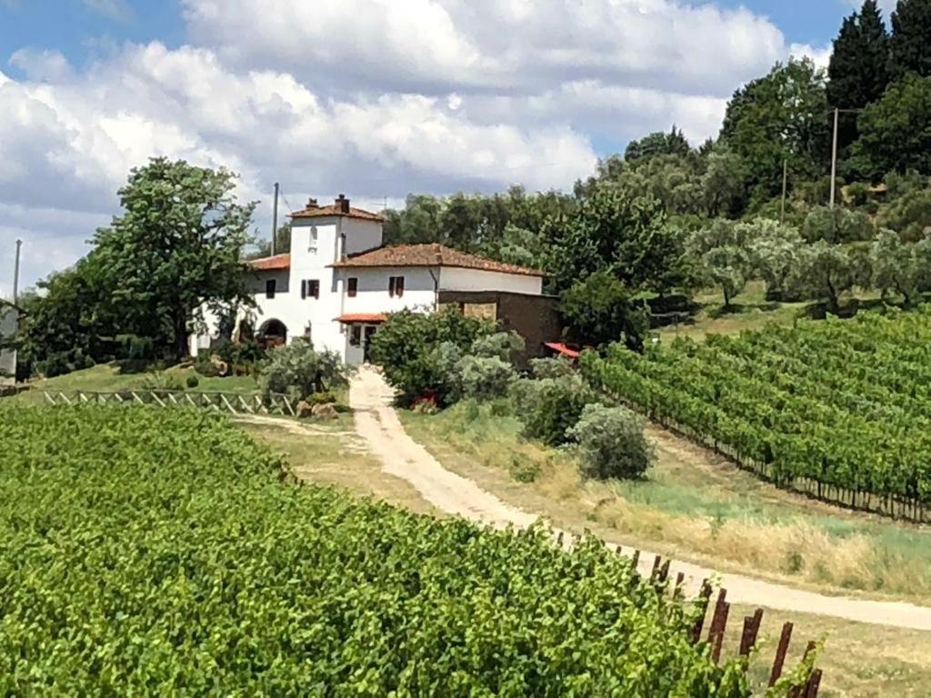 Azienda Agricola Il Poggiolino Villa Pelago Exterior photo