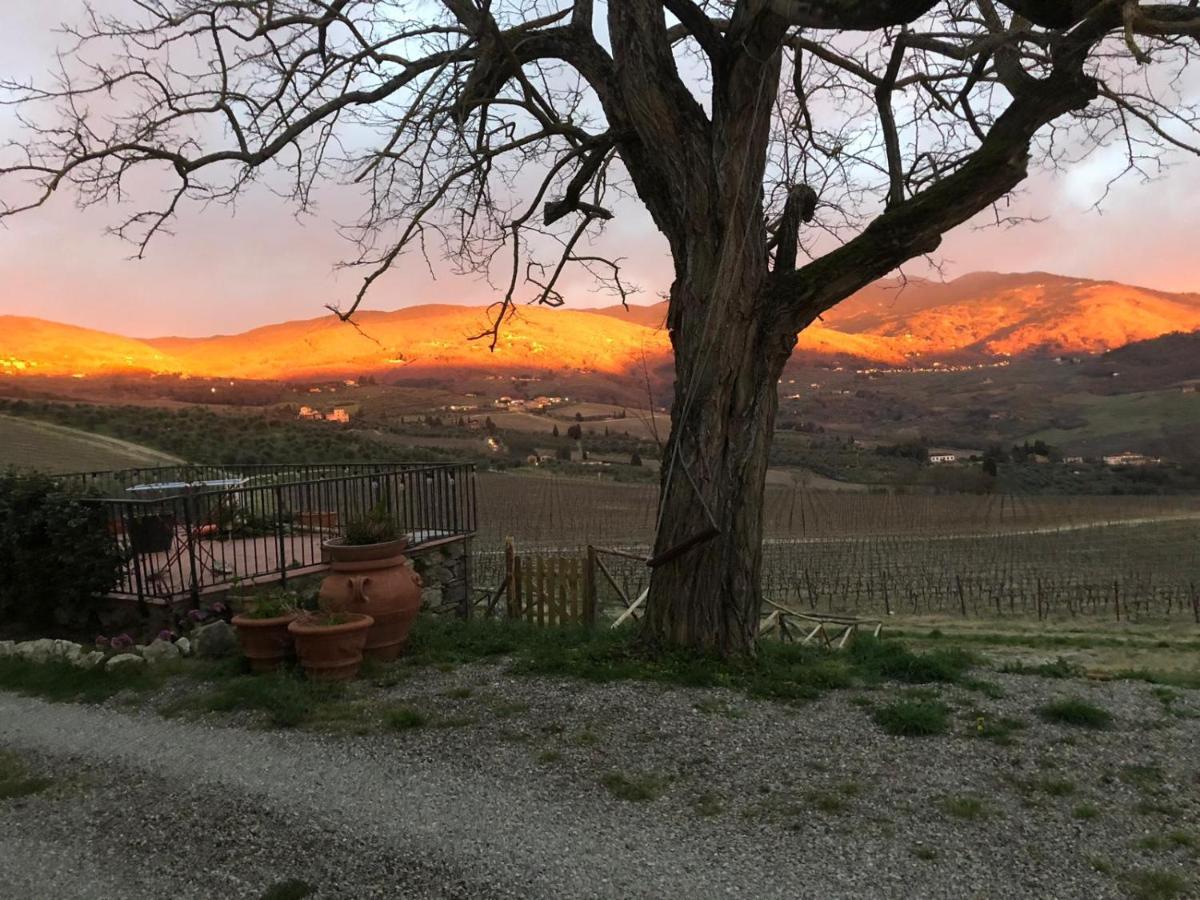 Azienda Agricola Il Poggiolino Villa Pelago Exterior photo