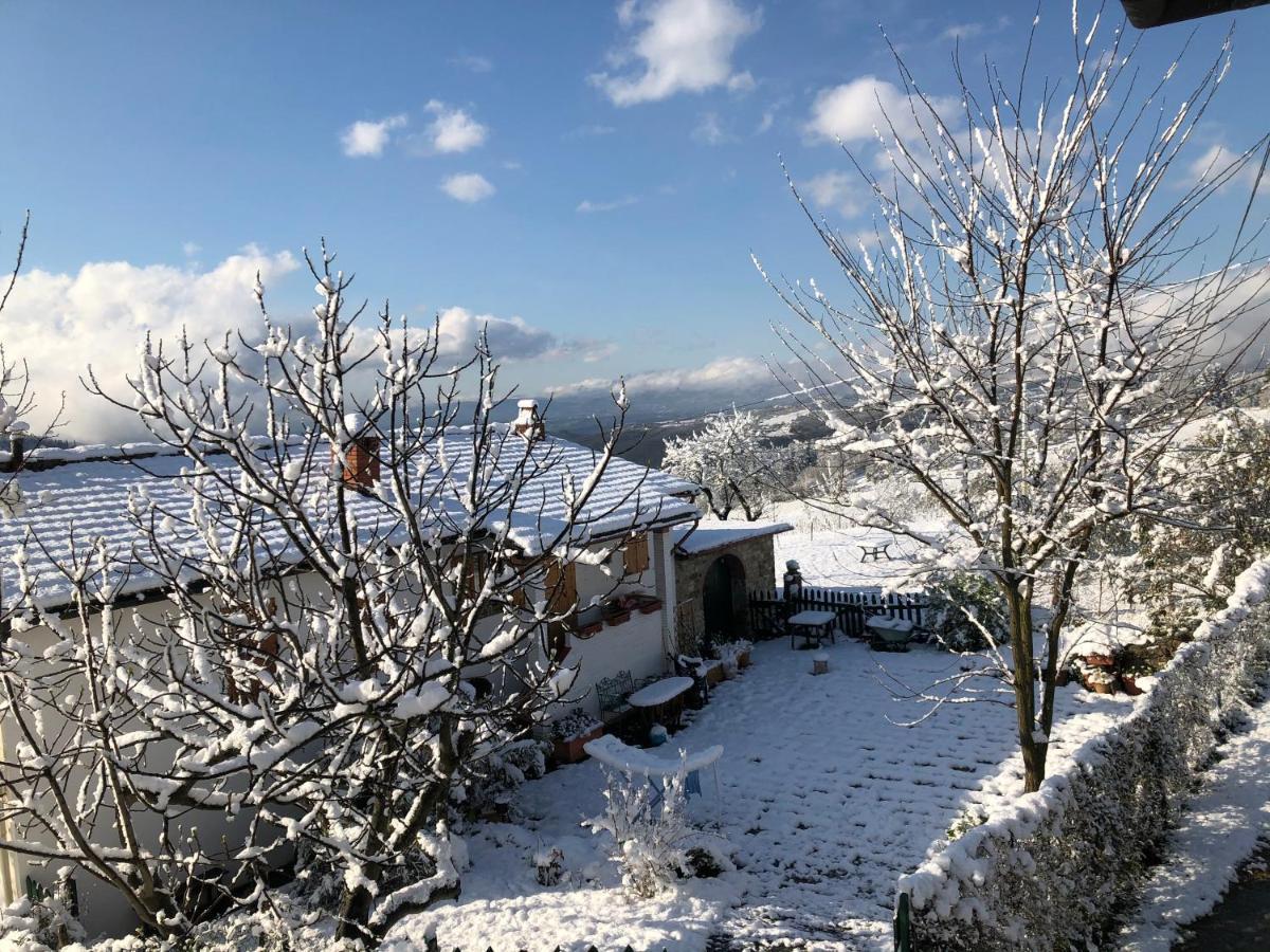 Azienda Agricola Il Poggiolino Villa Pelago Exterior photo